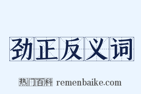 劲正反义词是什么意思的图片